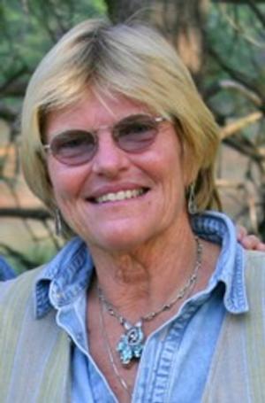 Geri Salsig,BROKER:Mountain homes and land